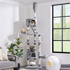 Wayfair cat sale shelves